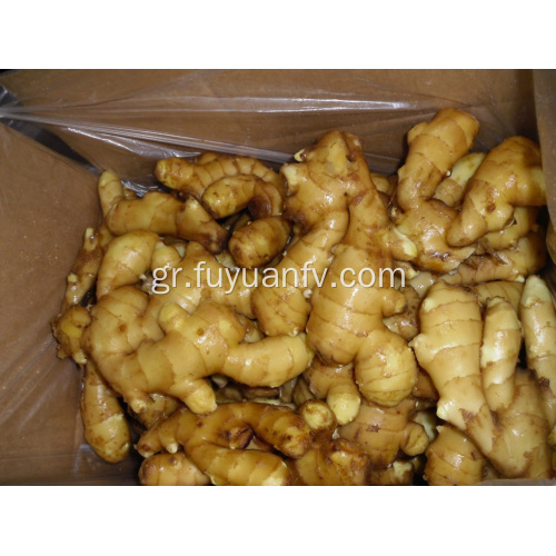 Καλή Qulality Fresh Ginger